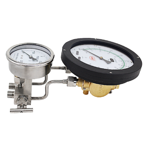 190mm Differential pressure level gauge